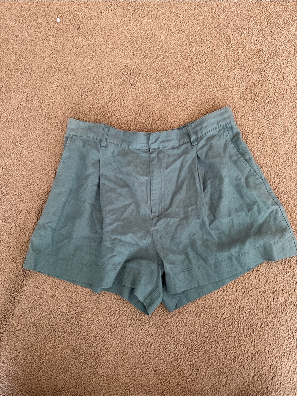 NWT
Z Supply Pleated High-Rise Shorts in Sage large
